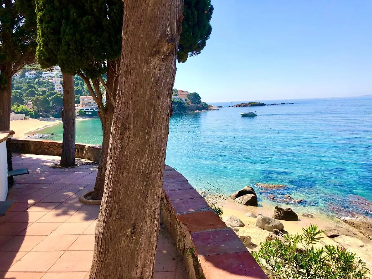 Magnifique Appartement En Front De Mer, Caneylles Roses Appartamento